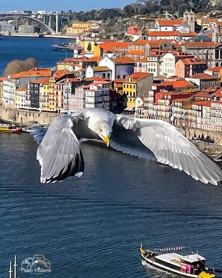 Casa Mira Douro Villa Vila Nova de Gaia Luaran gambar